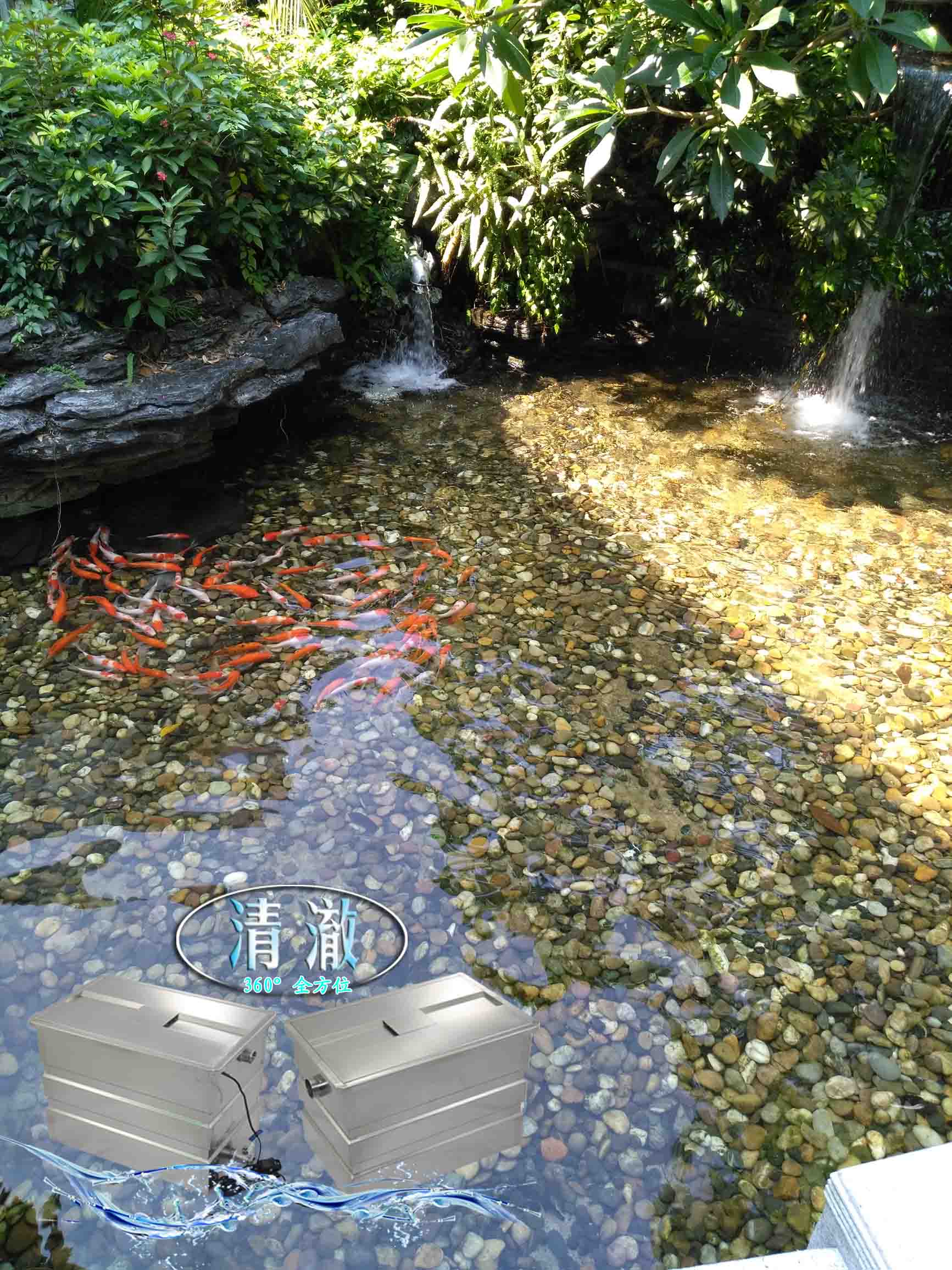 IMG_20160730_100543 copy.jpg