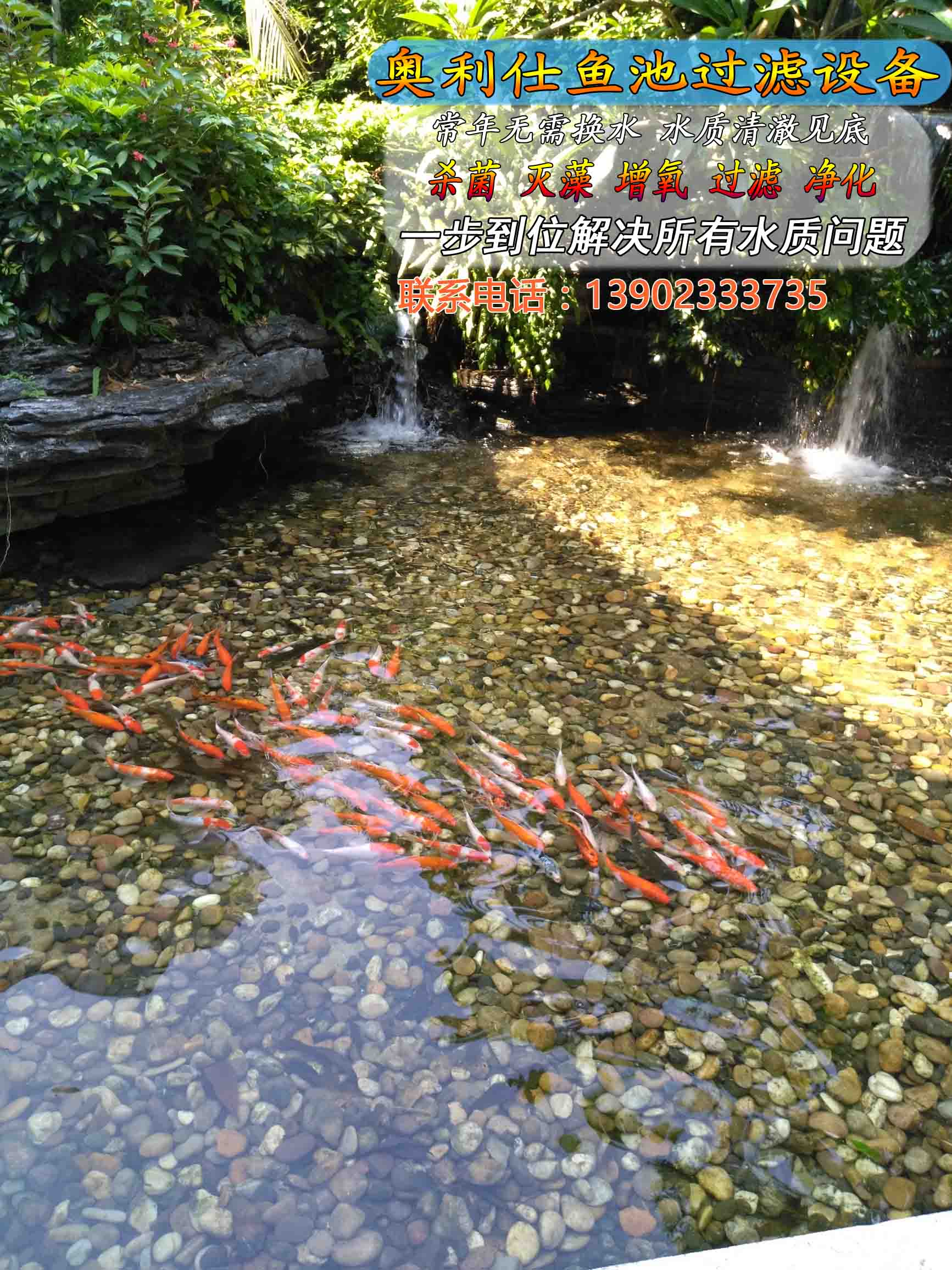 IMG_20160730_100610 copia - copia.jpg