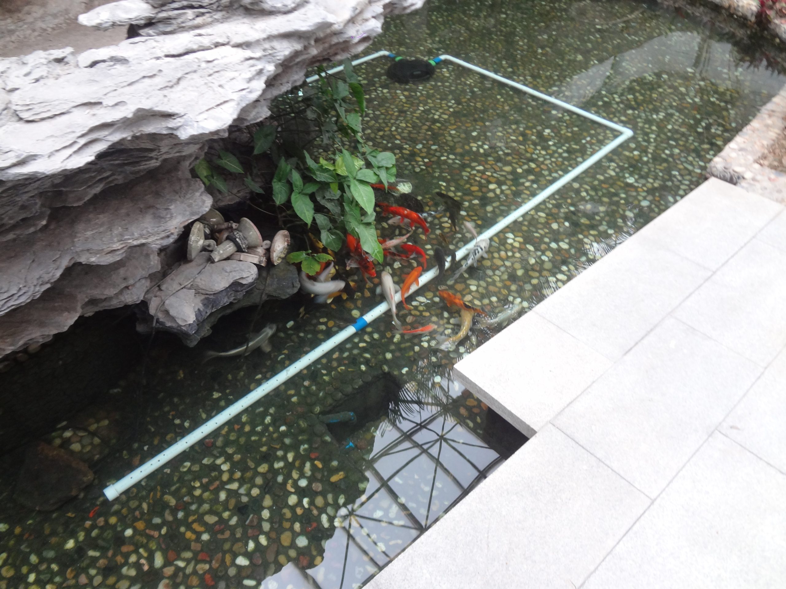 广州白云区解放军疗养院鱼池净化设备安装效果